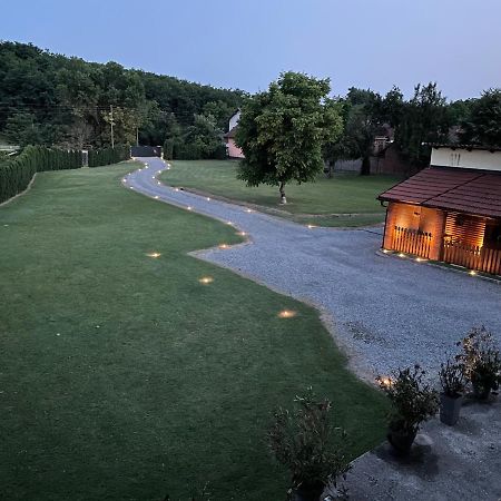 Modern House Surrounded By Nature Grabrov Potok Екстер'єр фото